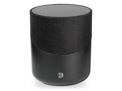 Bluesound Pulse M