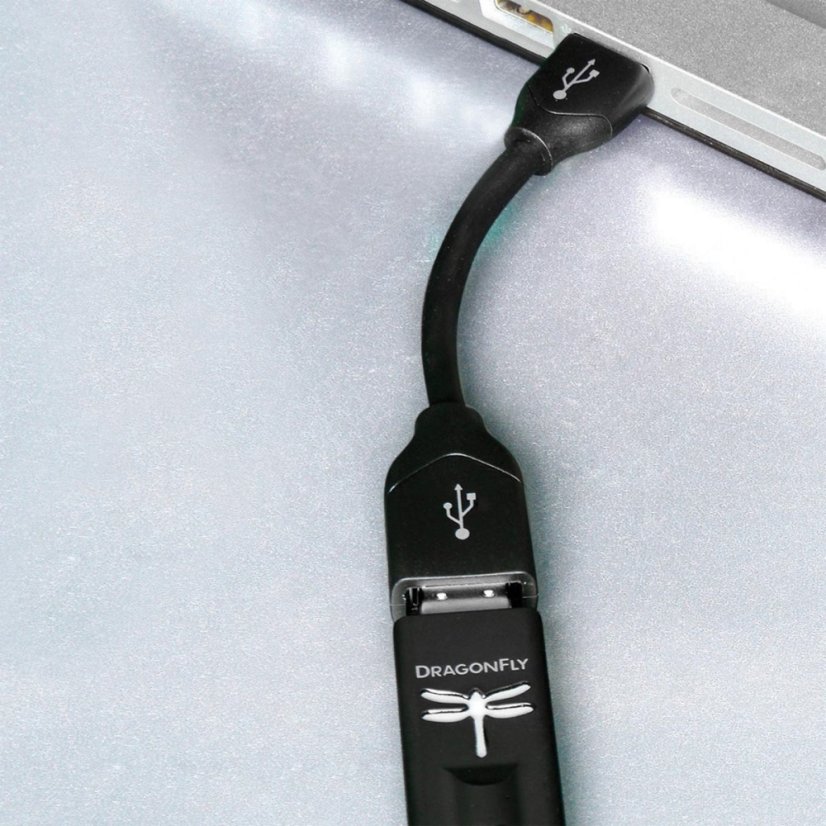 Audioquest DragonTail_2