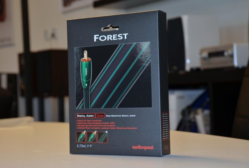 Forest_4