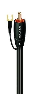 blacklabsub_1