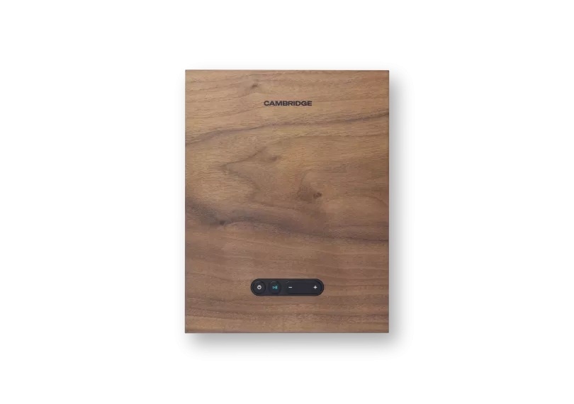 CA LR_X_ walnut 4