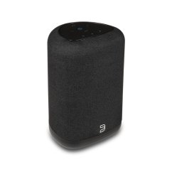 Bluesound PULSE FLEX