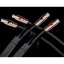 audioquest-pegasus-interconnect-xlr-0-6-m (6)NEW