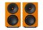 CA LR_X_orange 1